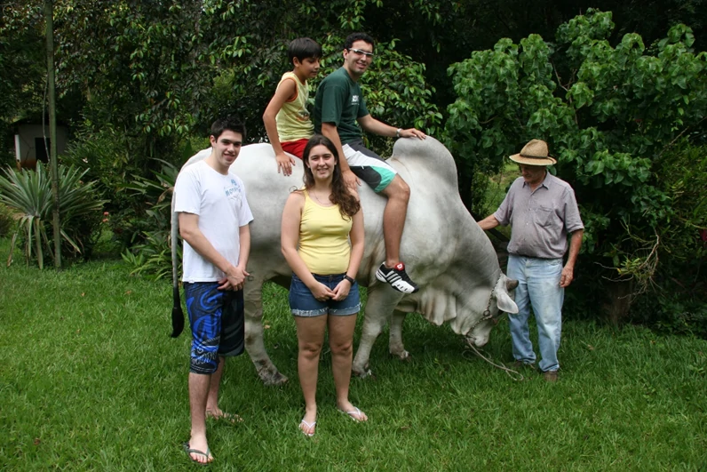 Fotos